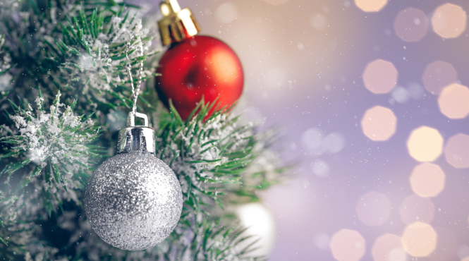 暮らしによりそう花と緑のワークショップ